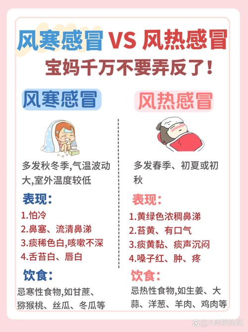 详细阅读:感冒:从症状应对到预防全攻略 感冒:从症状应对到预防全攻略