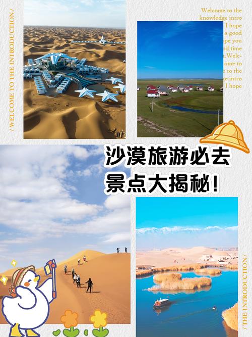 探秘沙漠：一场极致的沙漠旅游攻略