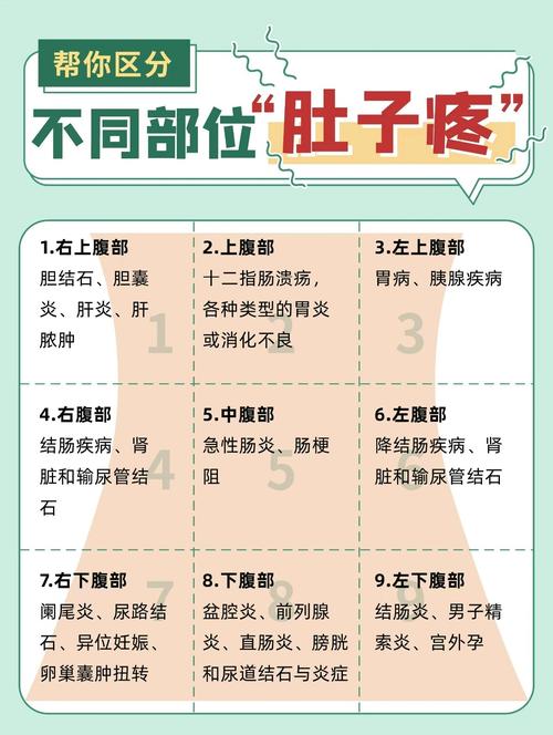 腹痛：原因、症状与应对策略全解析
