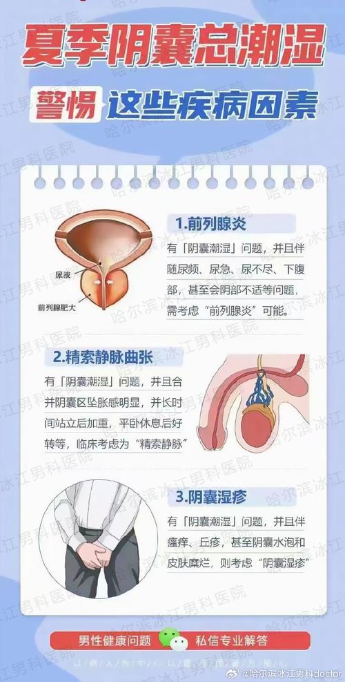 男科疾病全解析：常见病症、发病原因及科学应对策略