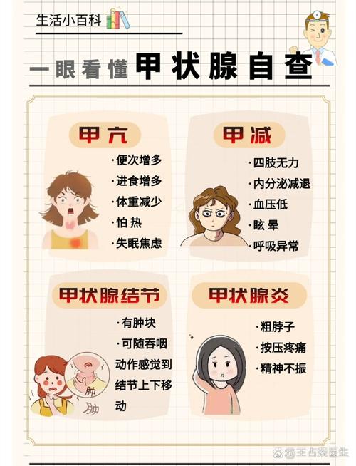 甲状腺疾病：全面解析与应对指南