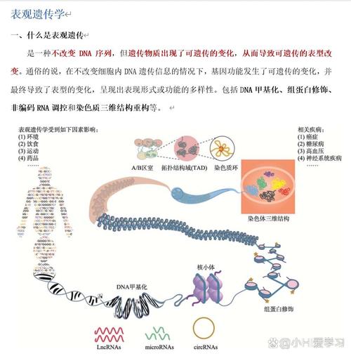 探秘遗传病：从基因到健康的深度解析