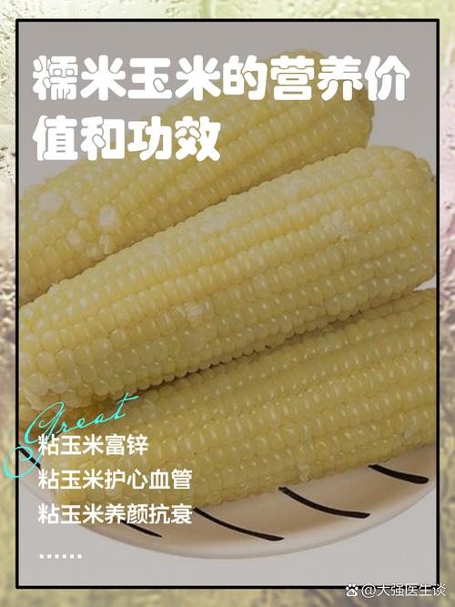 探秘长安糯玉米：从田间到餐桌的美味传奇