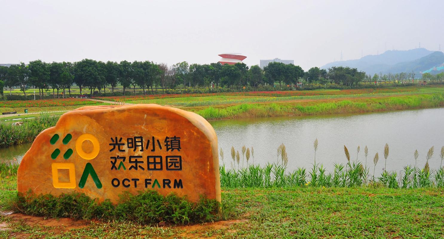 光明小镇欢乐田园：都市桃源，诗意栖居