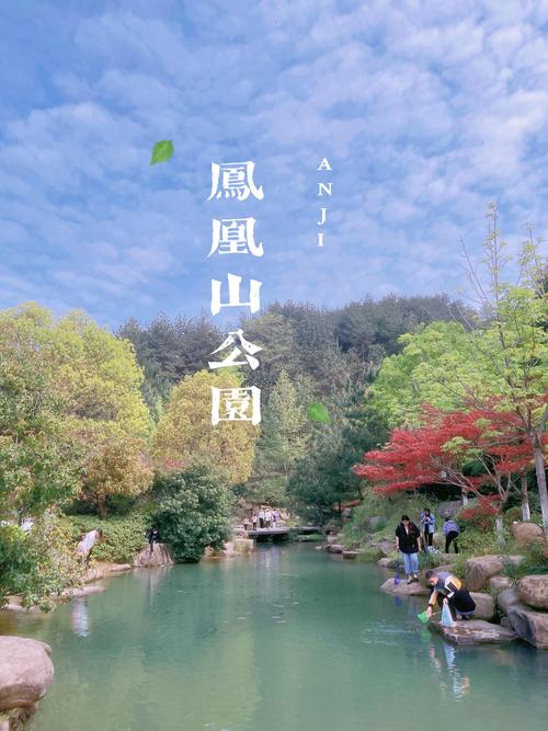 凤凰山森林公园：自然与文化的交融之旅