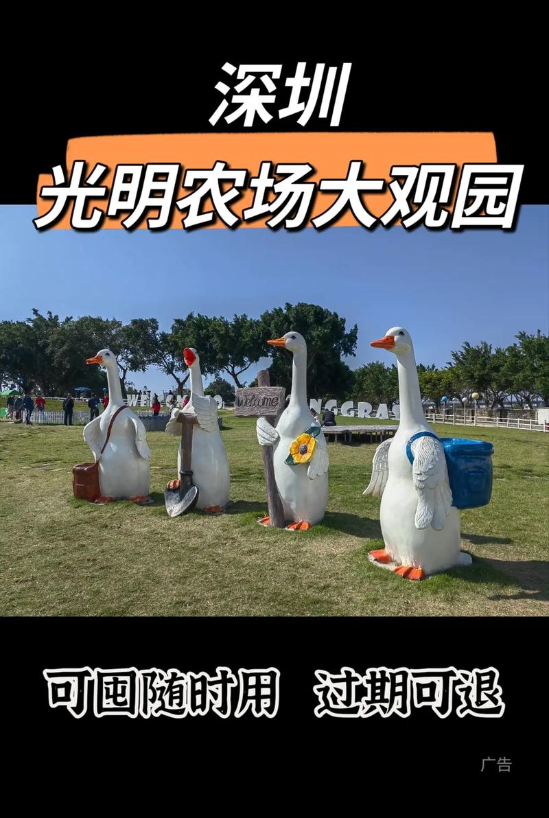 光明农场大观园：都市田园的梦幻之旅