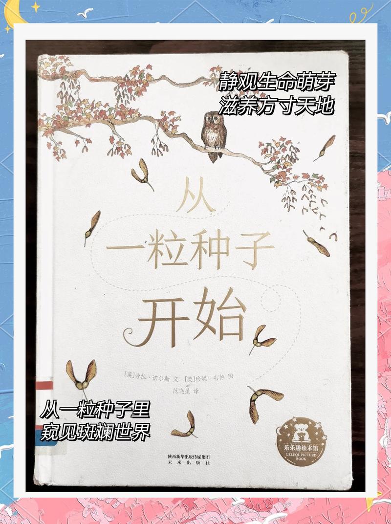 自信的种子：从萌芽到参天