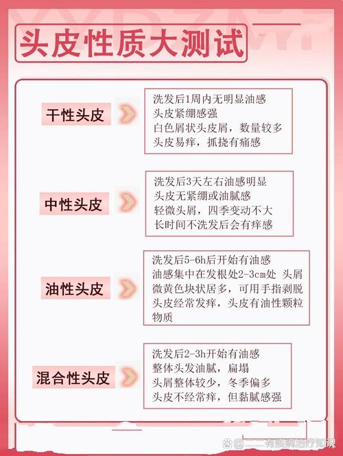 干性发质与头皮的全方位护理指南