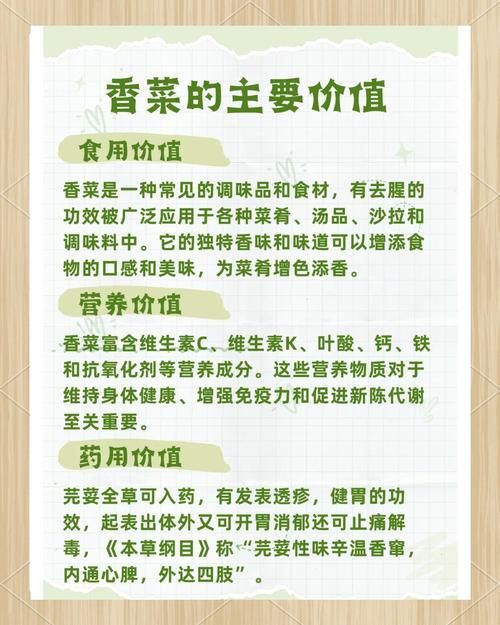香菜：从田间到餐桌的独特魅力