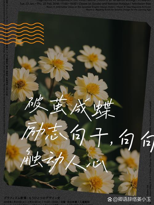 自信的重塑人生：破茧成蝶，重绽华彩