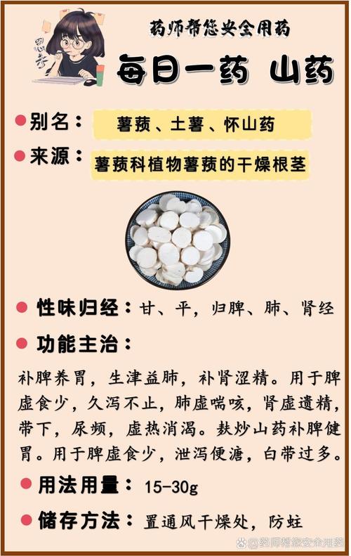 山药末：药食同源的养生瑰宝