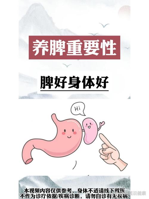 健脾养生，从日常做起：开启健康活力新生活