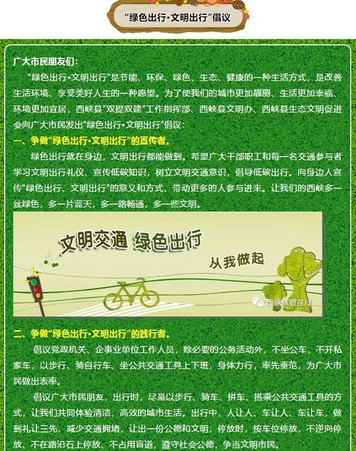 共享出行：便捷与挑战并存的绿色交通新潮流