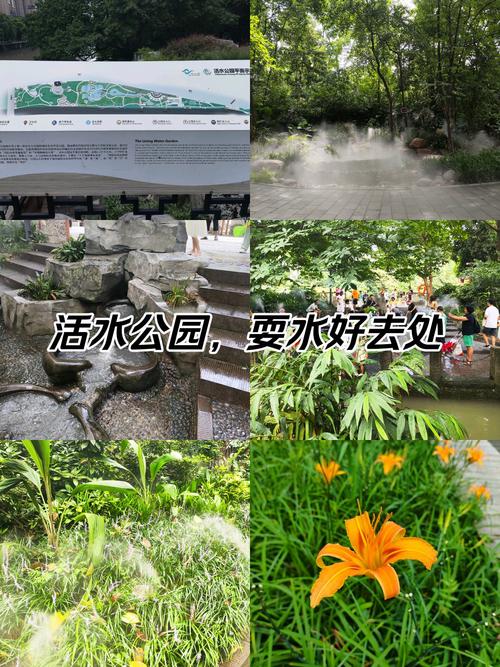活水公园：城市中的生态绿洲与诗意栖居之所