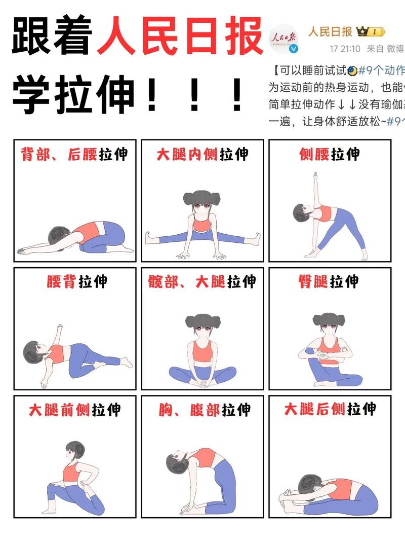 运动后拉伸技巧：解锁身体柔韧性与恢复力的关键密码