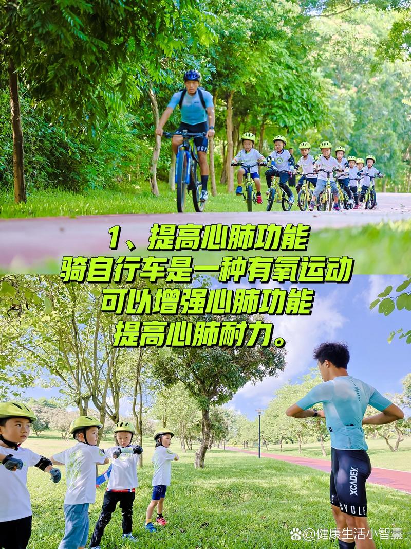 自行车骑行：健康、环保与乐趣的三重奏