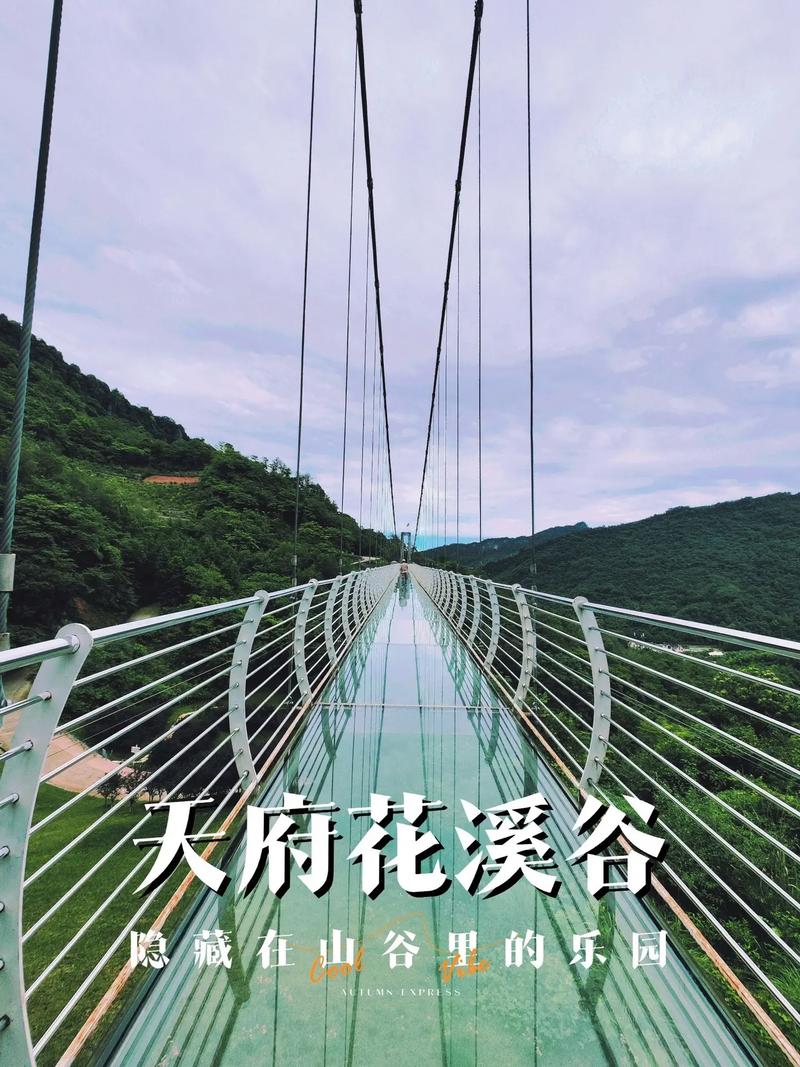 天府花溪谷：成都的梦幻花海与冒险乐园