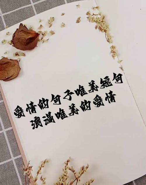 爱的乐章：恋爱中的甜蜜旋律
