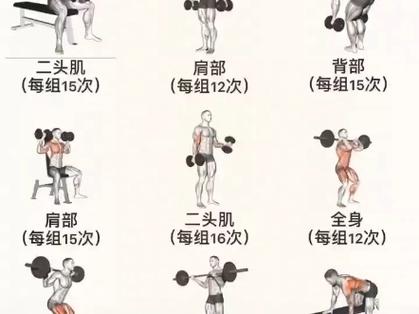 杠铃训练技巧：解锁高效健身之路