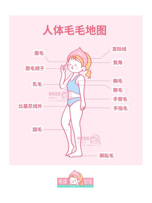 腿部脱毛全攻略：技巧与产品深度解析