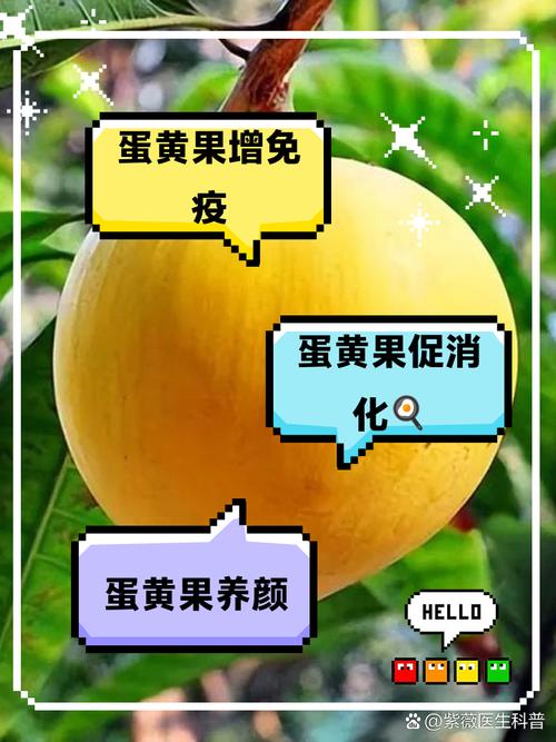 探秘蛋黄果干：从果园到味蕾的奇妙旅程