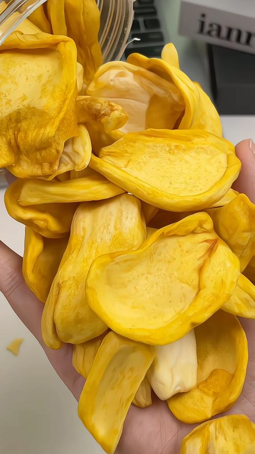 菠萝蜜干：从热带果园到舌尖的甜蜜传奇