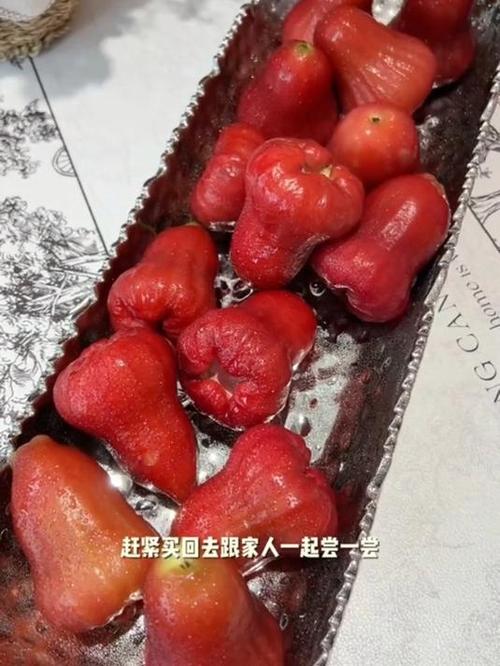 莲雾酱：独特的热带风味魔法
