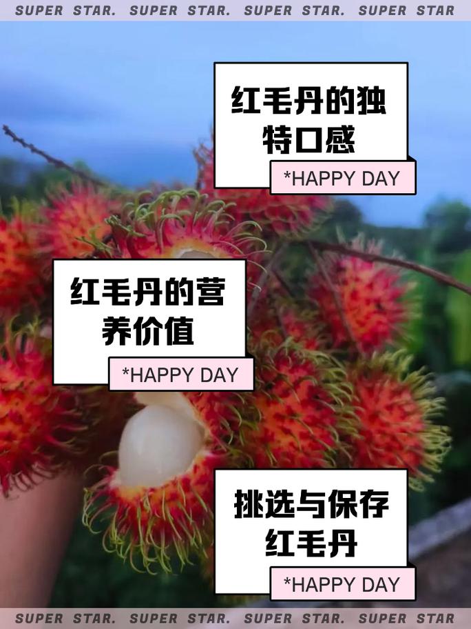 探秘红毛丹酱：独特风味与多元魅力