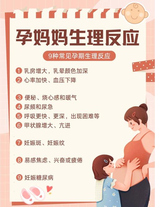 孕期专业护理：守护母婴健康的全方位指南