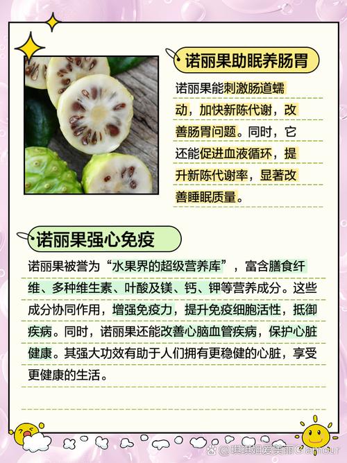 探秘诺丽果醋：自然馈赠的健康宝藏
