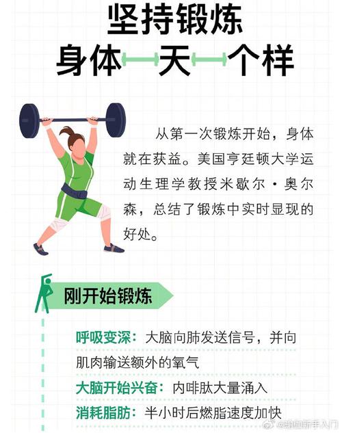 运动与身体机能提升的关系：一场身体的奇妙变革之旅