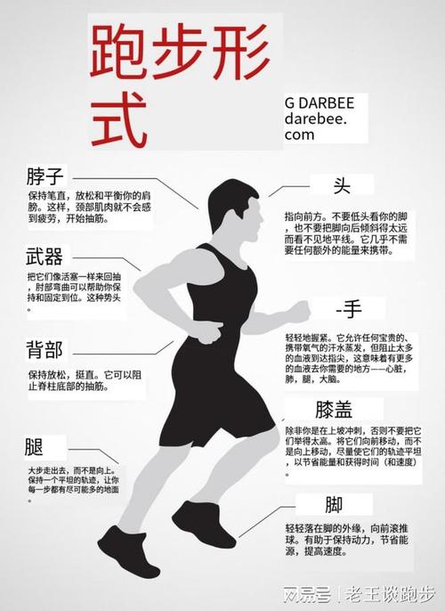 运动与身体柔韧性的关系