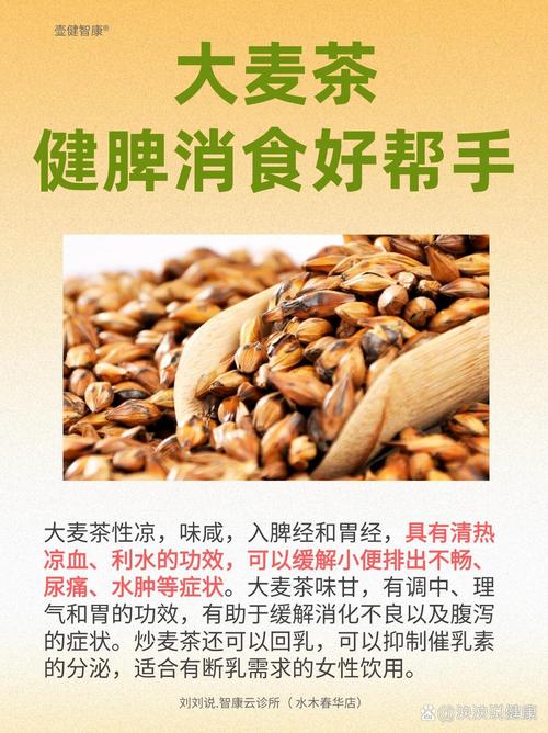 全麦茶：麦香韵悠，健康之饮新风尚