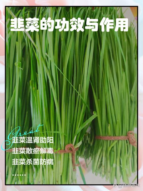 韭菜茶：自然馈赠的养生瑰宝，从田间鲜韭到杯中佳茗