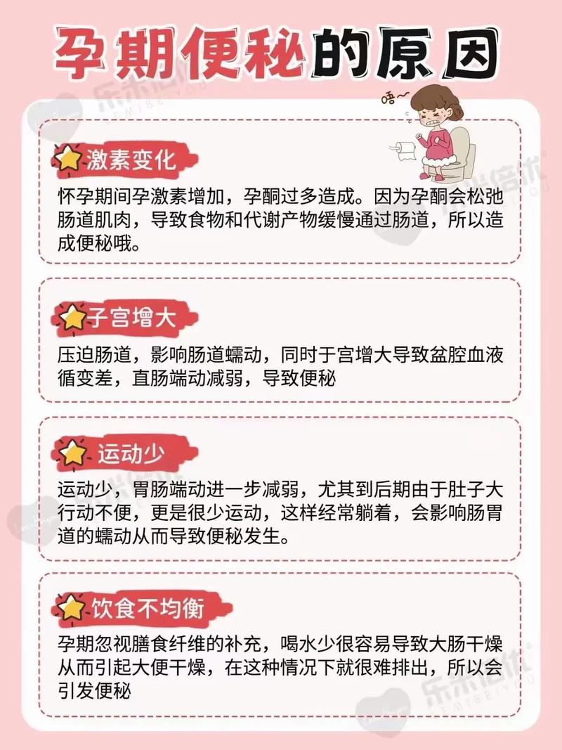 孕期预防便秘：保障母婴健康的关键环节