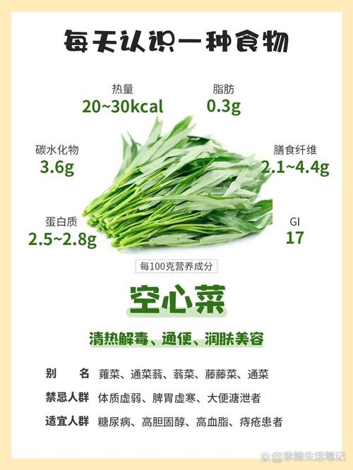 空心菜茶：独特的草本饮品，探寻其背后的故事与价值