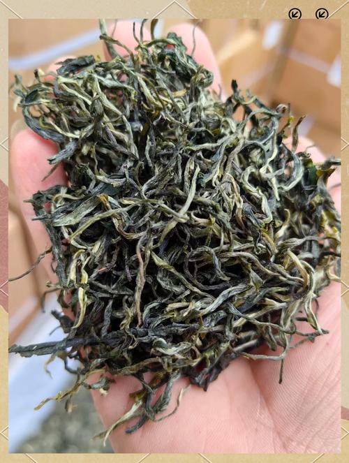 品味自然之馈赠：蕨菜茶的独特魅力