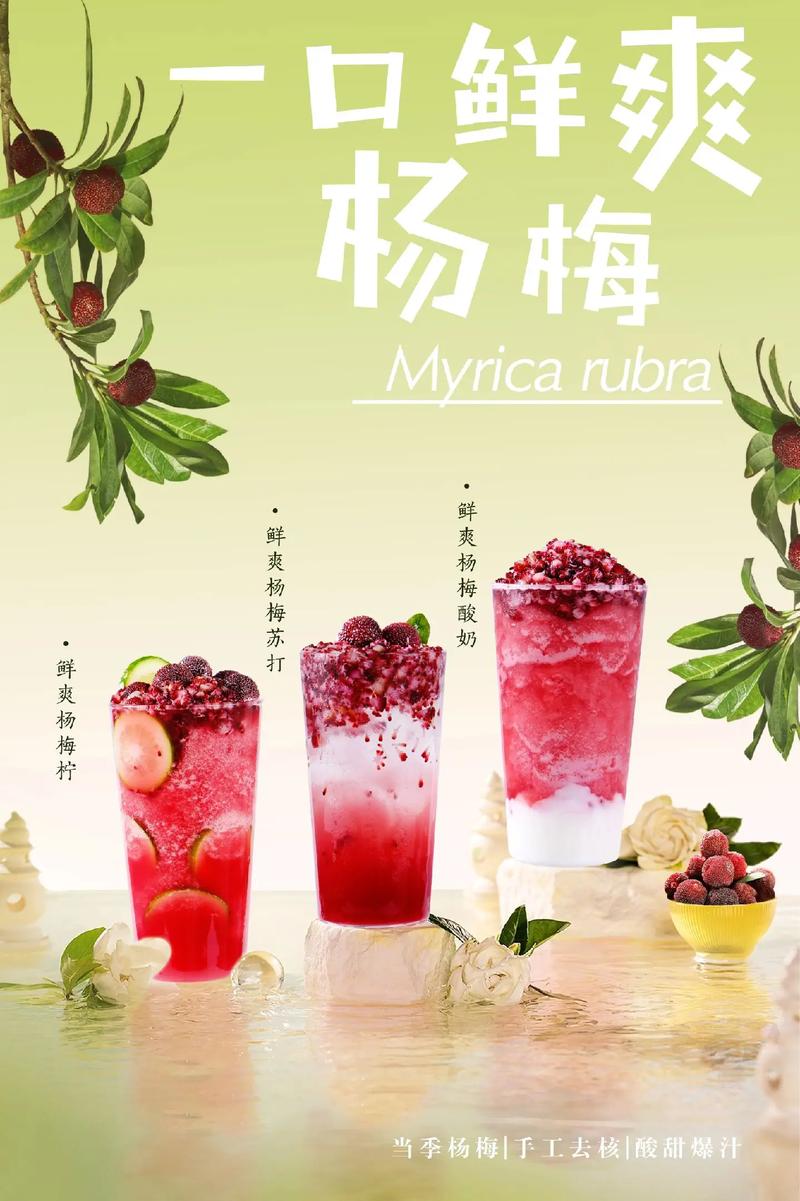 详细阅读:杨梅茶:酸甜时光里的诗意馈赠 杨梅茶:酸甜时光里的诗意馈赠
