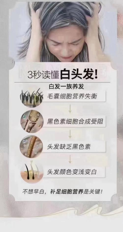详细阅读:白头处理策略:应对白发的智慧之道 白头处理策略:应对白发的智慧之道
