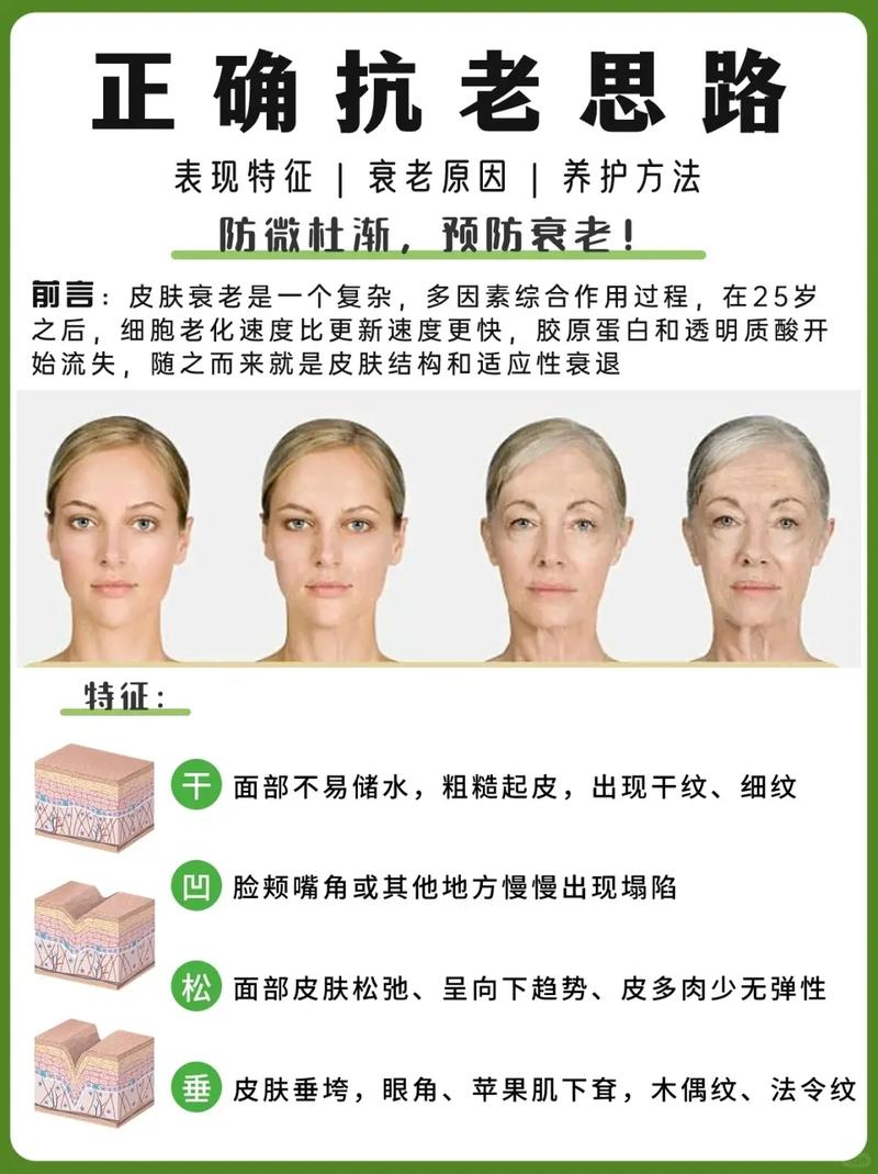 皮肤松弛改善全攻略：重拾紧致肌肤的多元途径