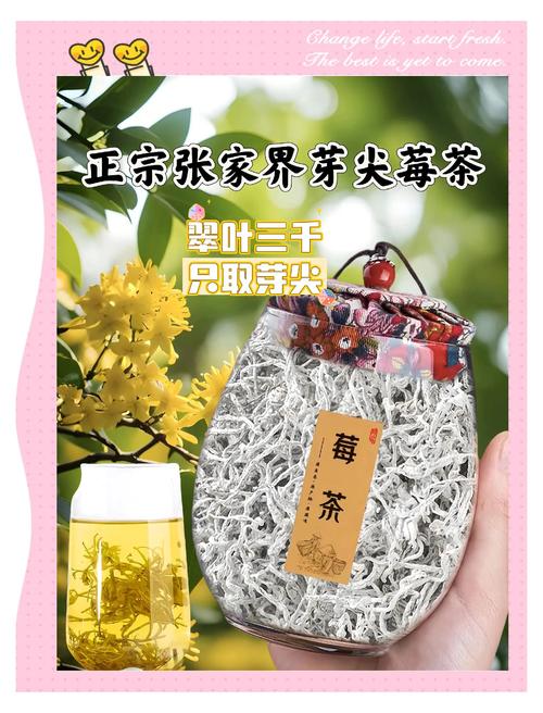 蒲桃茶：品味独特的茶中珍品