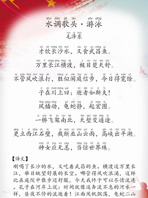 仰泳：在碧波之上的诗意遨游