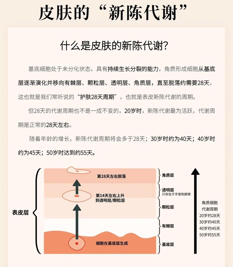 解锁皮肤新陈代谢促进秘籍，焕亮肌肤新活力