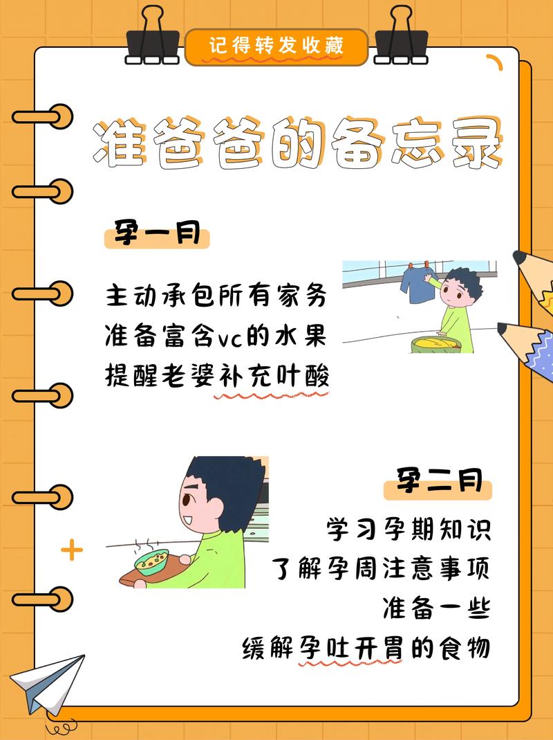 孕期准爸爸陪伴：用爱与责任共筑孕育之路