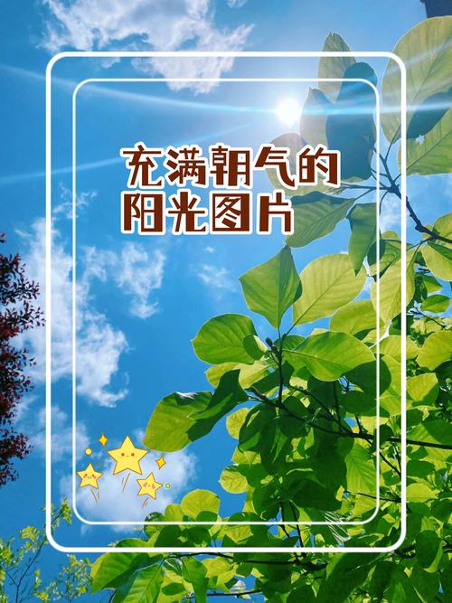 详细阅读:恋爱的乐观:于爱中拥抱生活的阳光 恋爱的乐观:于爱中拥抱生活的阳光