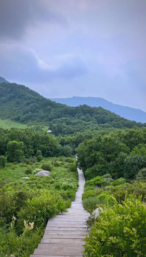 探秘北京百花山：四季花海与自然奇观的完美融合之旅