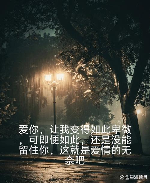 爱与哀愁：分手背后的怜悯情愫