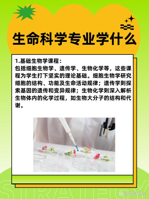 生物医药：探索生命奥秘，开启健康新篇