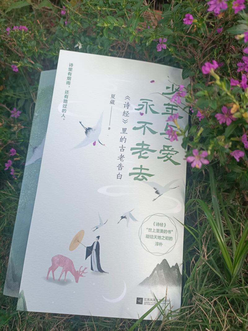 爱的分贝：在喧嚣与寂静间，聆听爱的五种标志
