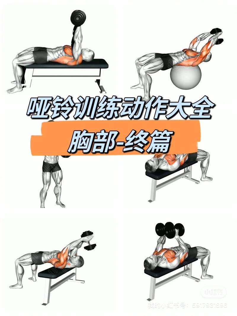 哑铃训练：开启高效健身之旅